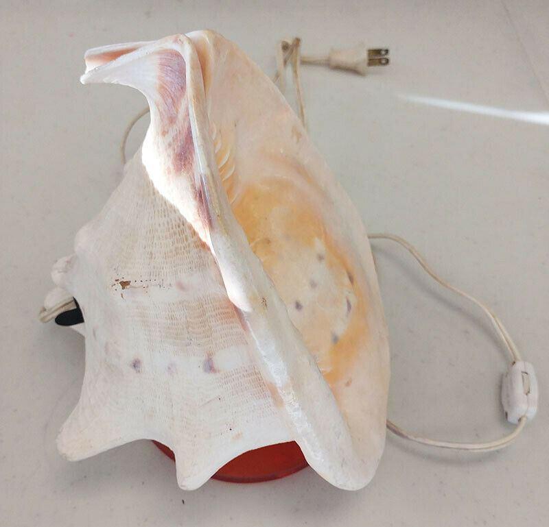 Vintage Sea / Conch Shell Table Light