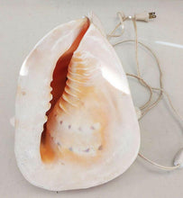 Load image into Gallery viewer, Vintage Sea / Conch Shell Table Light
