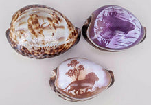 Load image into Gallery viewer, 6 Beautiful Carved Shells - Animals, Scenery &amp; Cameo
