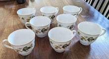 Load image into Gallery viewer, 8 Royal Doulton Translucent China - Larchmont Pattern - Teacups
