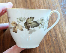Load image into Gallery viewer, 8 Royal Doulton Translucent China - Larchmont Pattern - Teacups
