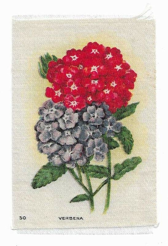 Vintage Cigarette / Tobacco Silk - # 50 - Verbena - Flower Varieties