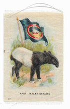 Load image into Gallery viewer, Vintage Cigarette / Tobacco Silk - #17 - Tapir - Malay Straits
