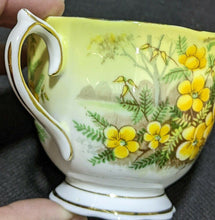 Load image into Gallery viewer, ROYAL ALBERT Fine Bone China Cup &amp; Saucer - Partridge Pea - Yellow &amp; Gold
