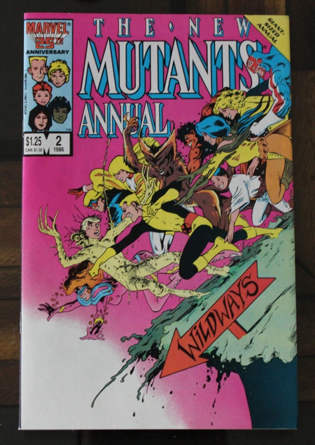 New Mutants (1983 1st Series) Annual #2