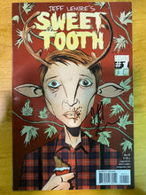 Load image into Gallery viewer, Vertigo Jeff Lemire&#39;s Sweet Tooth Issue 1 Signed by Author
