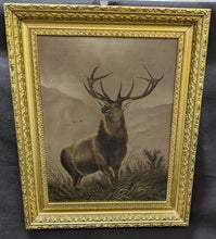 Load image into Gallery viewer, Gold Frame Print - Buck In The Field - Frame Cracking - As Is

