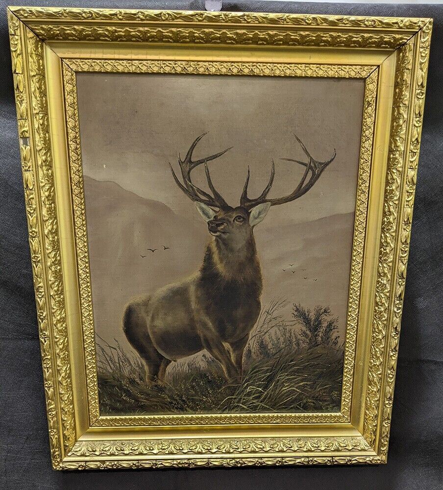 Gold Frame Print - Buck In The Field - Frame Cracking - As Is