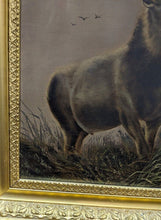 Load image into Gallery viewer, Gold Frame Print - Buck In The Field - Frame Cracking - As Is
