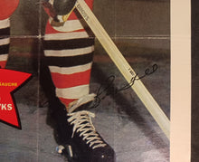 Load image into Gallery viewer, 1971-72 O-Pee-Chee NHL Poster Bobby Hull #9

