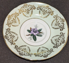 Load image into Gallery viewer, PARAGON Bone China Tea Cup &amp; Saucer - Green &amp; Gold - Violet in Bowl
