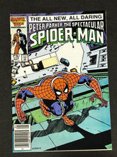 Load image into Gallery viewer, 1986 Marvel Comics Peter Parker the Spectacular Spider-Man Issue #113&amp;114,VG CPV
