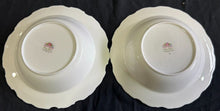 Load image into Gallery viewer, Royal Albert Bone China England, Tranquility Rim Soup Dish x2 Lot, EX+
