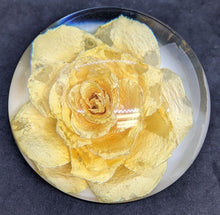 Load image into Gallery viewer, 4 Assorted Floral / Insect Paperweights. Red, Yellow &amp; Peach Roses
