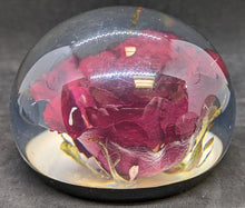 Load image into Gallery viewer, 4 Assorted Floral / Insect Paperweights. Red, Yellow &amp; Peach Roses

