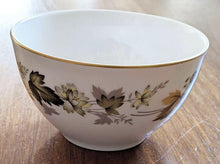 Load image into Gallery viewer, Royal Doulton Translucent China - Larchmont Pattern - Open Sugar Bowl

