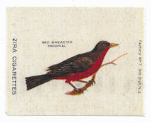 Load image into Gallery viewer, Vintage Cigarette / Tobacco Silk - Zira Cigarettes - Red Breasted Troopial
