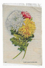 Load image into Gallery viewer, Vintage Cigarette / Tobacco Silk - #32 - Chrysanthemums - Flower Varieties
