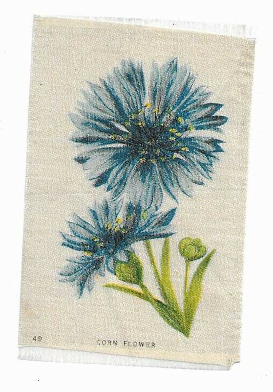Vintage Cigarette / Tobacco Silk - # 49 - Corn Flower - Flower Varieties