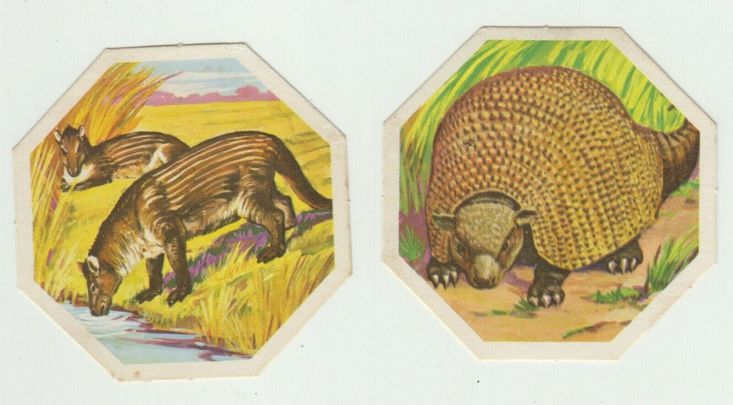 1960's York Peanut Butter Dinosaurs Pair of Cards