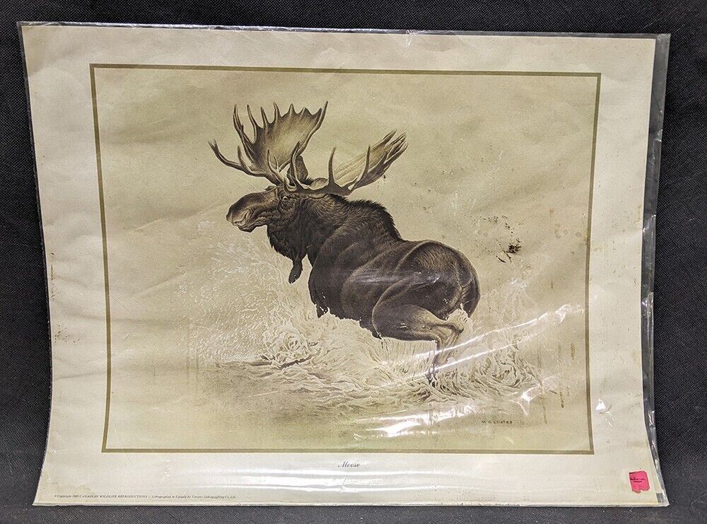 1969 Canadian Wildlife Reproductions Lithograph - M.G. Loates - Moose - 23
