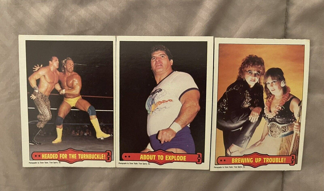 WWF O Pee Chee cards #19 #21 #23 1985 Ringside Action