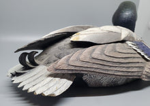 Load image into Gallery viewer, Collectible Wildlife Figurine - Gosset Male Mallard Duck - 1004/3000
