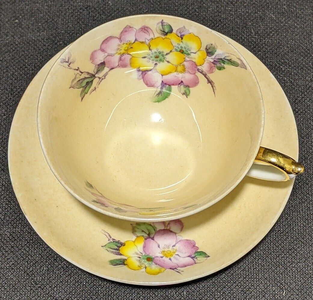 PARAGON Bone China Tea Cup & Saucer - Peach & Floating Flowers - Y4628