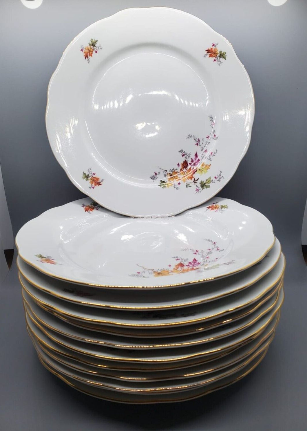 12 Colditz Porcelain Dinner Plates, Floating Flower