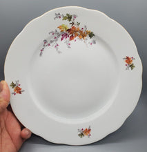 Load image into Gallery viewer, 12 Colditz Porcelain Dinner Plates, Floating Flower

