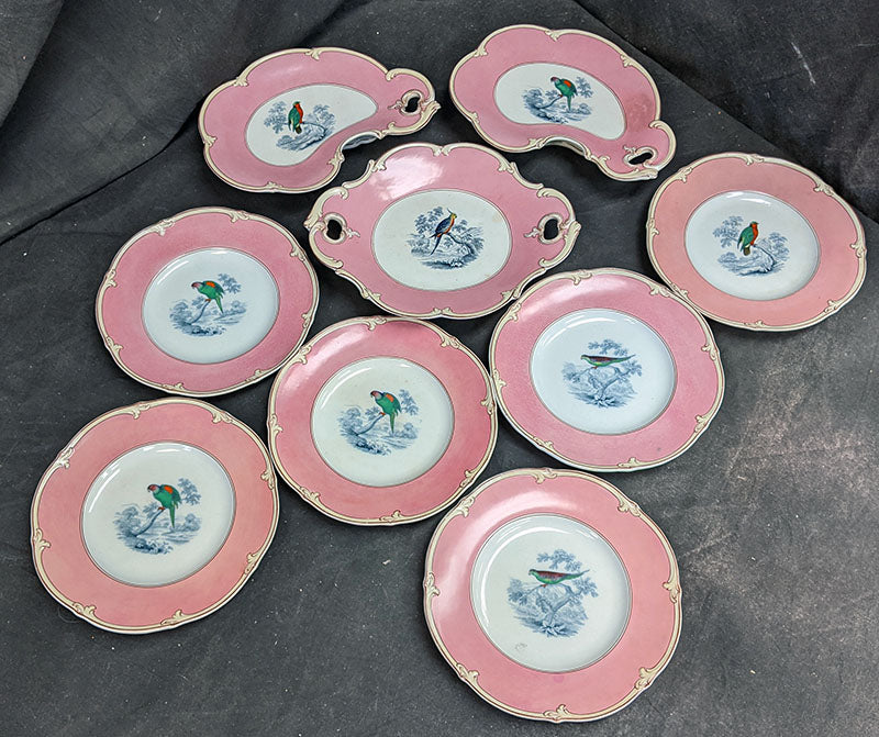 Early 1800's Worcester / Caughley Porcelain Dessert Set - Birds - Hand Painted