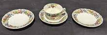 Load image into Gallery viewer, Royal Doulton - TINTERN - D.5609 Dinnerware Assortment
