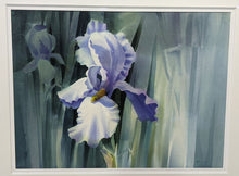 Load image into Gallery viewer, 1985 Zoltan Szabo Print - Purple Iris - Framed
