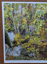 Load image into Gallery viewer, Signed &amp; Numbered Print - &quot;Camoflage&quot; - 1339/2225

