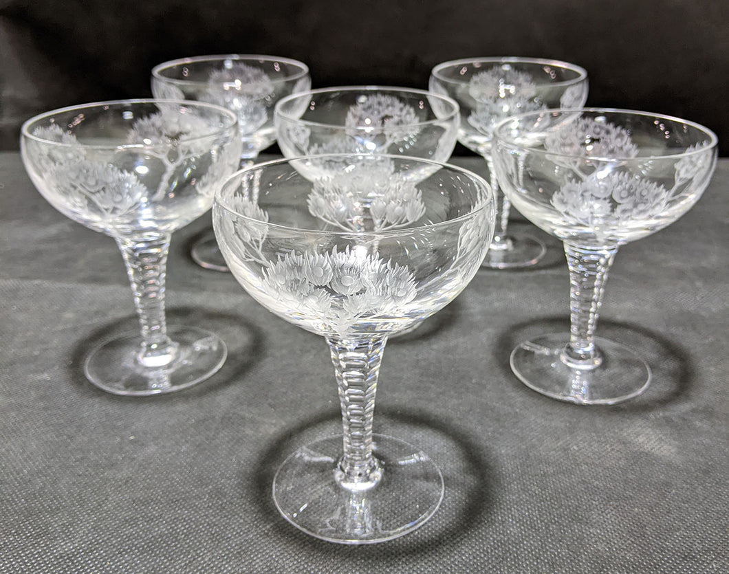 Stuart Crystal Eden Pattern Set of (8) Champagne / Tall Sherbert Glasses 4 1/2