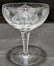 Load image into Gallery viewer, Stuart Crystal Eden Pattern Set of (8) Champagne / Tall Sherbert Glasses 4 1/2&quot;
