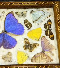 Load image into Gallery viewer, Vintage Butterfly Motif Wooden Serving Tray - Hand Made
