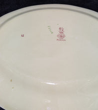 Load image into Gallery viewer, Royal Doulton - Pomeroy - Small Serving Platter - 11”
