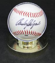 Load image into Gallery viewer, Toronto Blue Jays Carlos Delgado Signed Baseball
